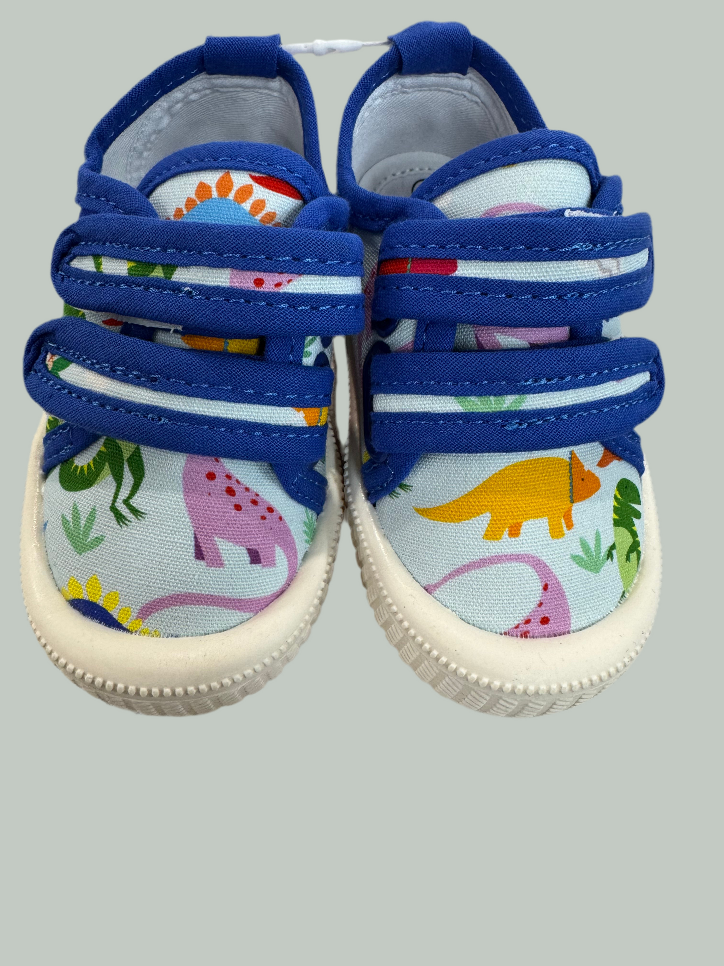 Walnut Ben Canvas- Rainbow Dino