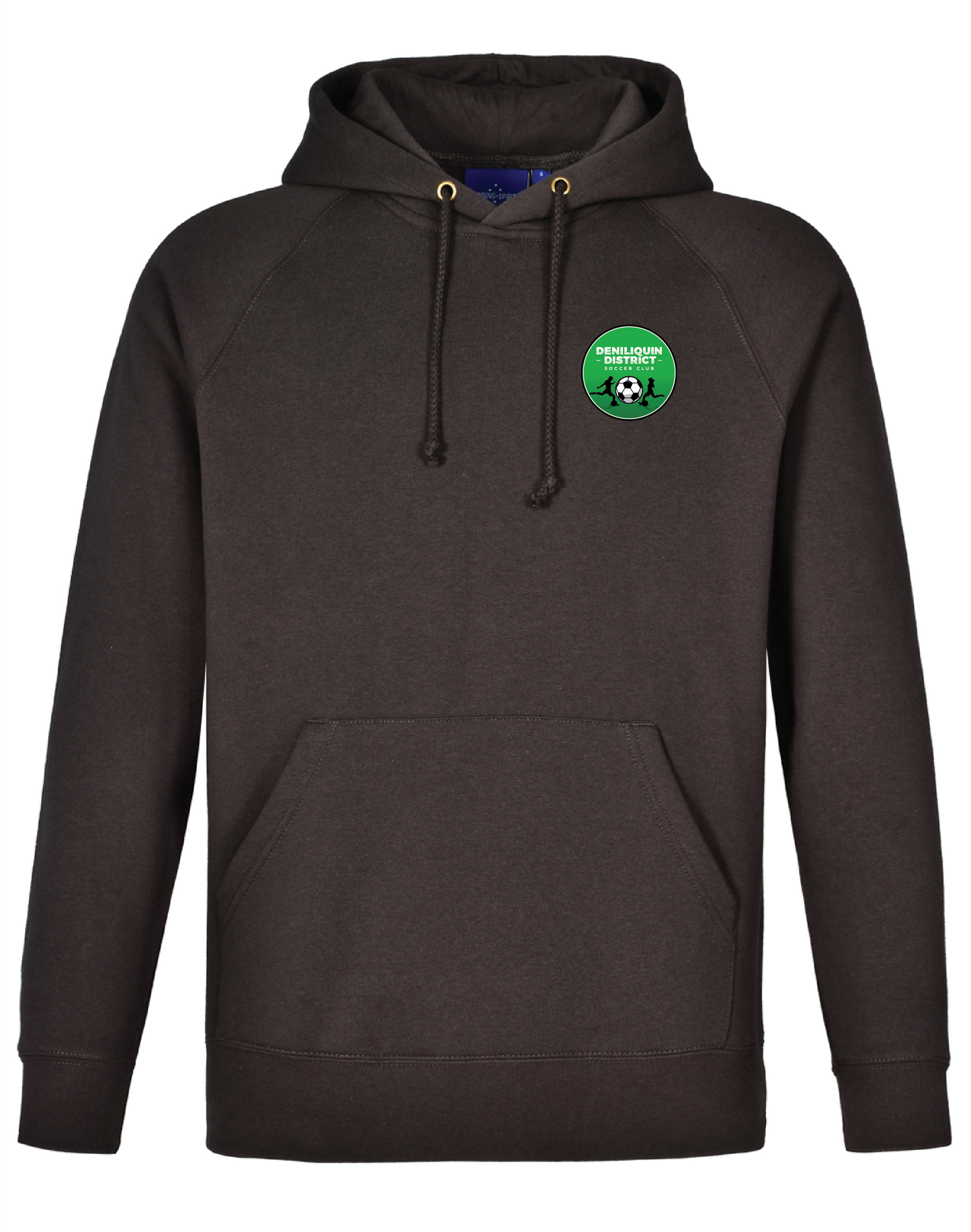 DDSC Hoodie 2025