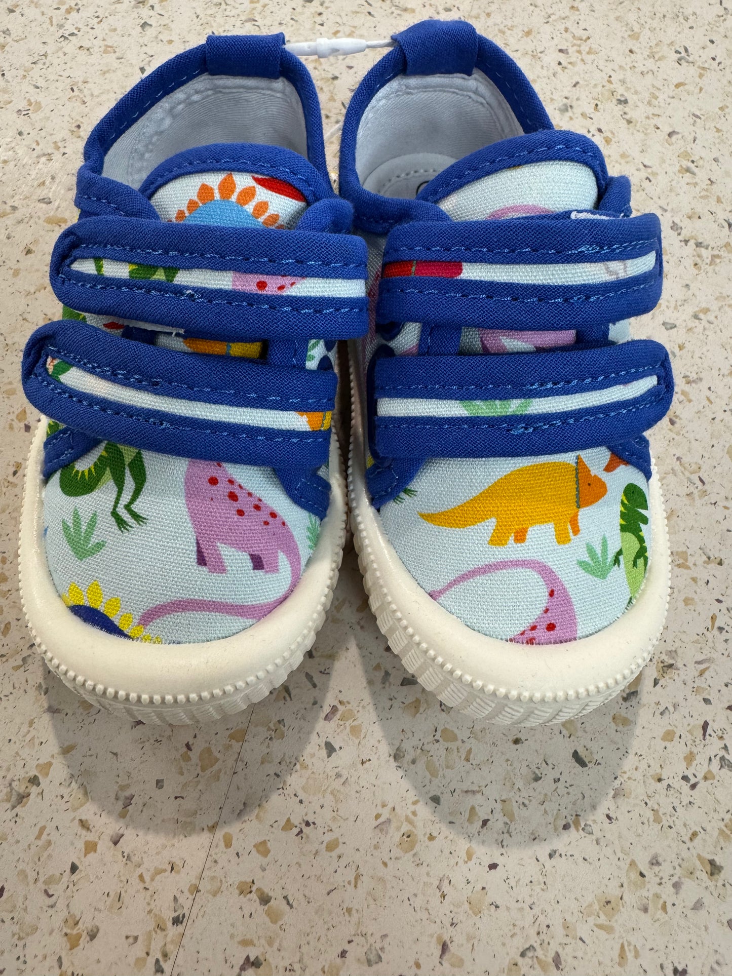 Walnut Ben Canvas- Rainbow Dino